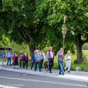 Der Pilgerzug in Röthenbach